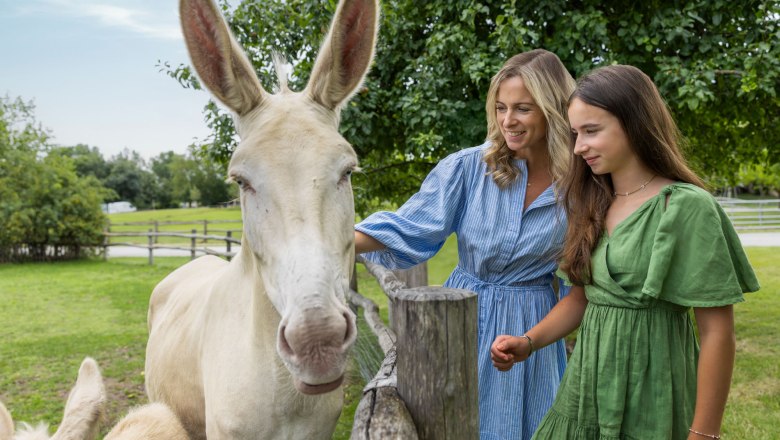 Schloss Hof_Wurnig_06695© Schloß Schönbrunn Kultur- und Betriebsges.m.b.H. - Severin Wurnig_web, © SKB_Severin Wurnig Schloss Hof_Wurnig_06695© Schloß Schönbrunn Kultur- und Betriebsges.m.b.H. - Severin Wurnig_web, © SKB_Severin Wurnig