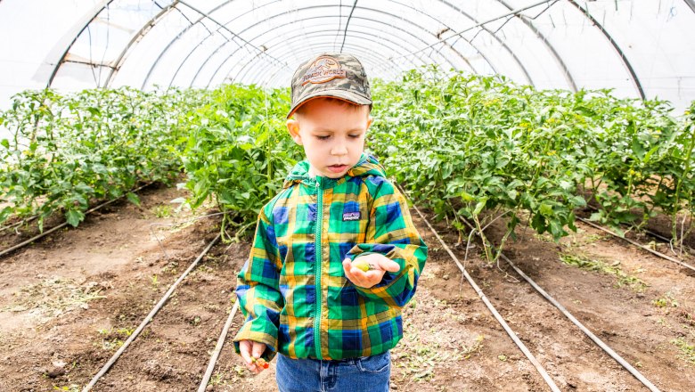 Bio mit allen Sinnen erleben, © Sandra Tauscher Bio mit allen Sinnen erleben, © Sandra Tauscher