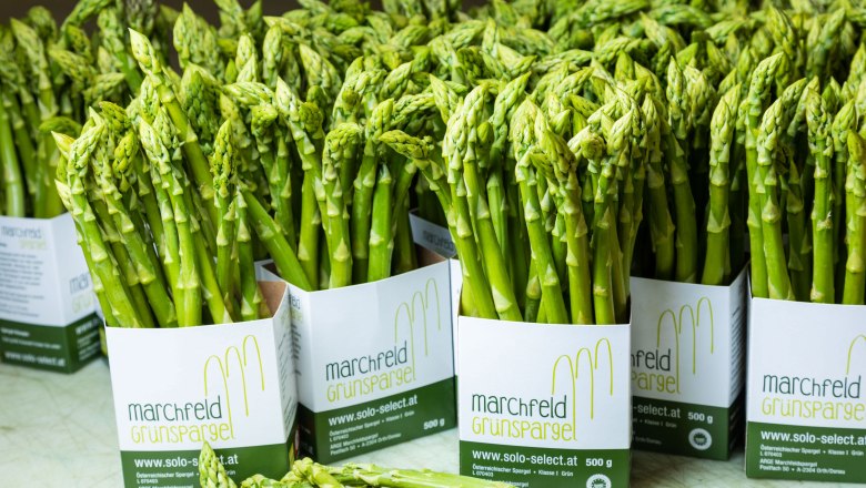Grüner Spargel, Spargelhof Magoschitz, Mannsdorf/Donau, © Spargelhof Magoschitz Grüner Spargel, Spargelhof Magoschitz, Mannsdorf/Donau, © Spargelhof Magoschitz