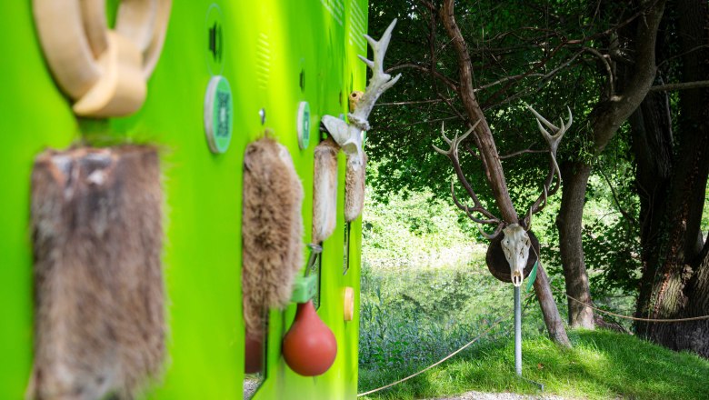 Orth Castle on the Danube, © Barbara Elser Hands-on station on the castle island