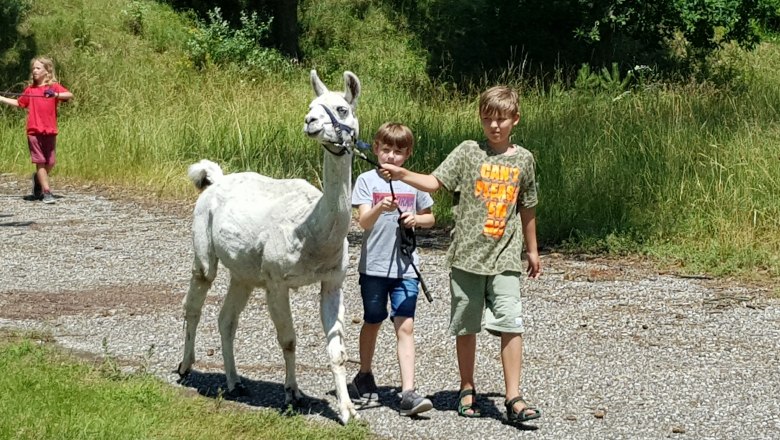 Spaziergang mit den Lamas, © AWA-Erlebnispark GmbH Spaziergang mit den Lamas, © AWA-Erlebnispark GmbH