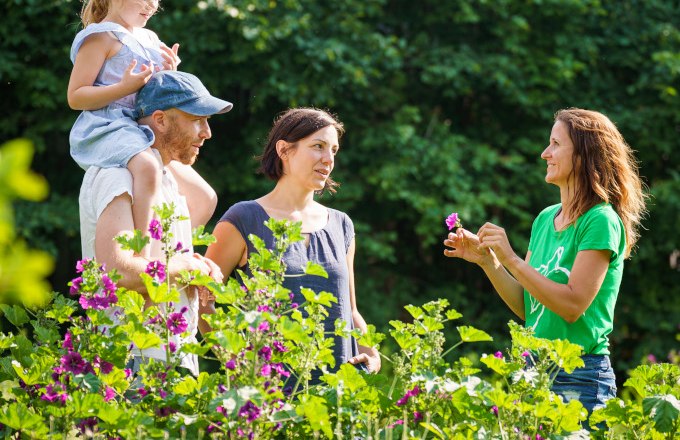 Buche eine Kräuterführung bei uns am BioHof, © Christian Hofer Buche eine Kräuterführung bei uns am BioHof, © Christian Hofer