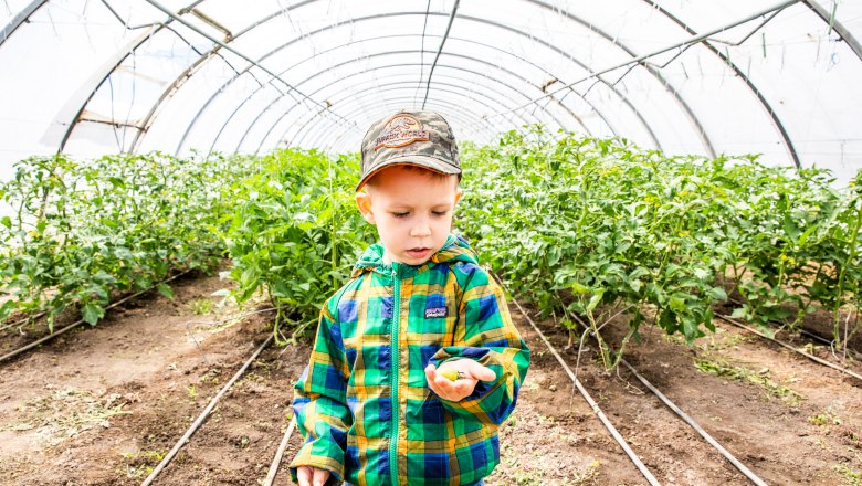 A child in a colorful jacket and cap stands in a greenhouse with plants.