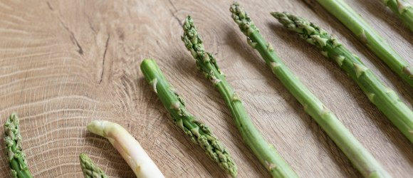 Marchfeld asparagus, © Weinviertel Tourismus / Bartl