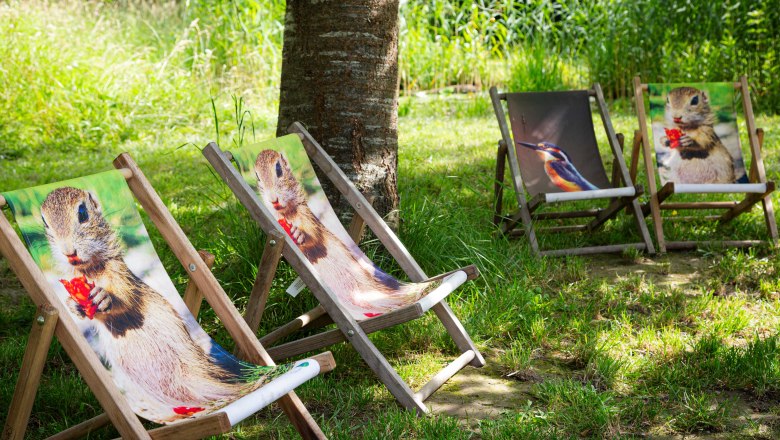 Seating with animal pattern