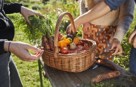 Visit to see regional producers, © Weinviertel Tourismus / Michael Liebert