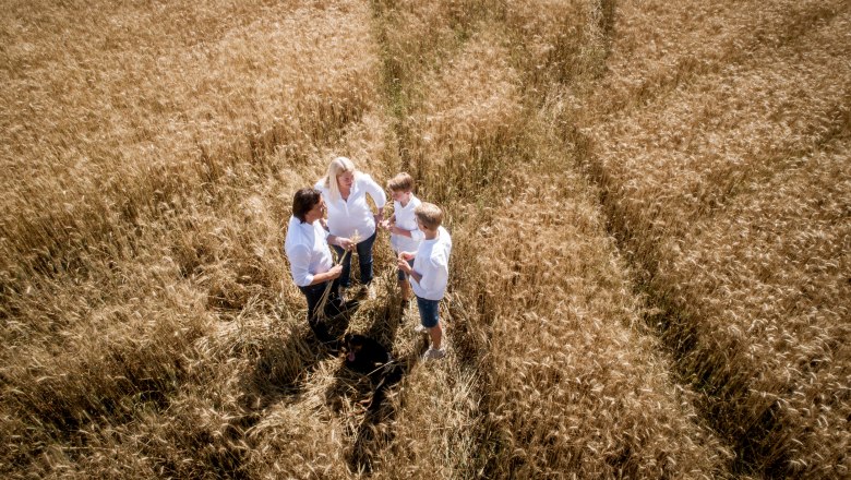 Four people stand in a golden wheat field and talk while a dog sits next to them.
