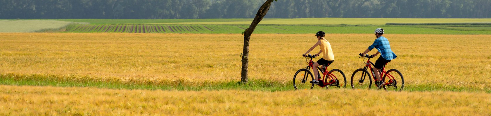 Radfahren im Sommer, © Weinviertel Tourismus / Himml