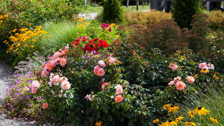 Blumenbeet im Schlosspark Eckartsau mit bunten Blumen.