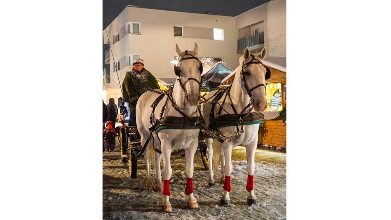 Advent in Deutsch-Wagram, © Stadtgemeinde Deutsch-Wagram