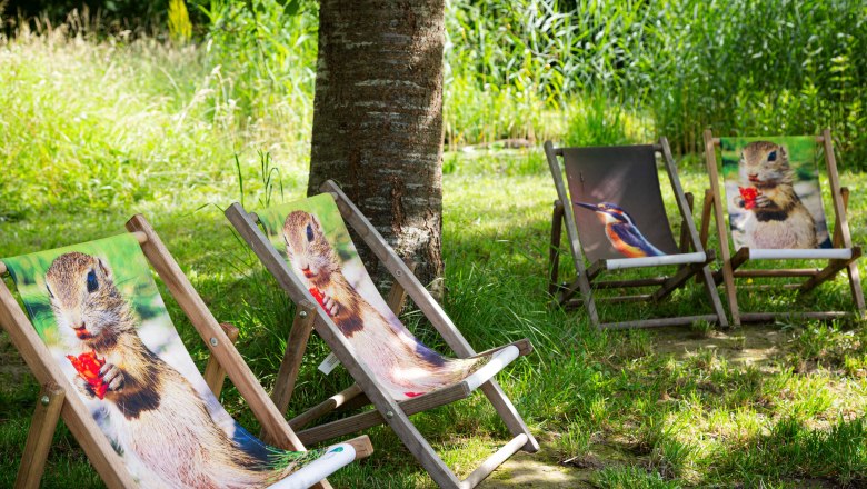 Sitzgelegenheiten mit Tiermuster