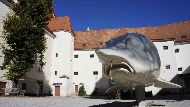 Große Fischskulptur vor historischem Gebäude mit roten Ziegeldächern., © Donau Niederösterreich Tourismus, Steve Haider