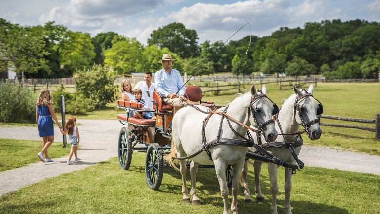 Schloss Hof, coach rides, © Schloss Schönbrunn Kultur- und Betriebsges.m.b.H. / Severin Wurnig