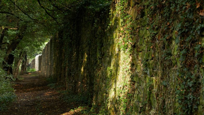 Stadtmauer, © Rupert Pessl