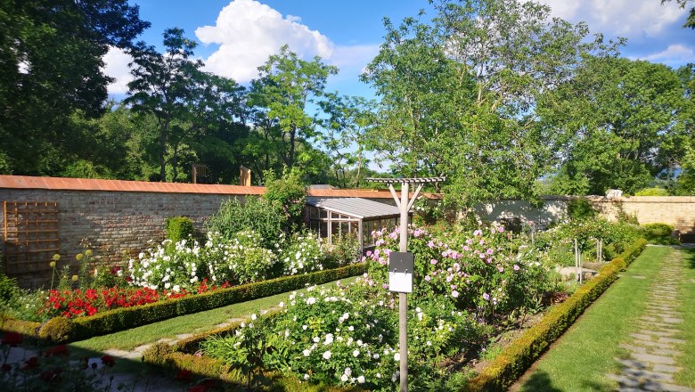 Schloss Hof, Rosengarten im Meierhof, © SKB/B.Elleder