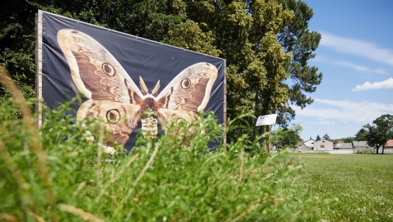 Naturvermittlung im Schlosspark, © Rupert Pessl