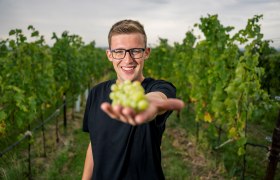 Ein Mann in einem Weinberg hält eine Traube in die Kamera.