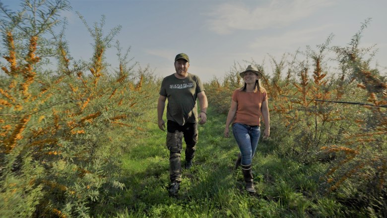 Marchfeld organic sea buckthorn, © Andel Film