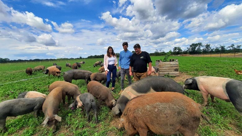 Guided tour of the Hubicek organic pig pasture, © Donau Niederösterreich / Neubauer