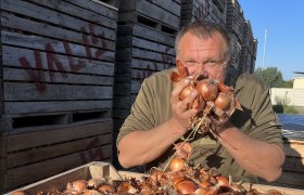 Man holding onions in front of face on a farm.