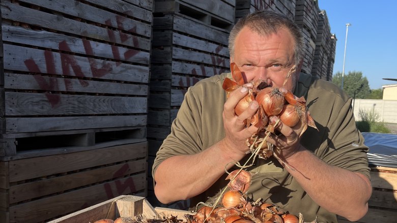 Man holding onions in front of face on a farm.
