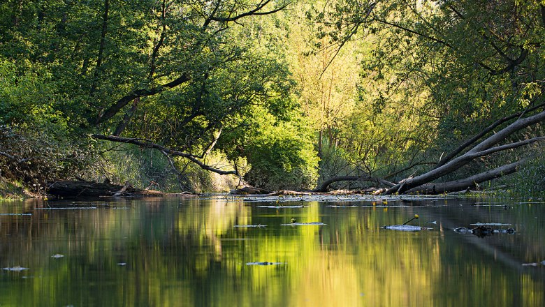 Ruhiger Flusslauf mit üppigem, grünem Uferbewuchs im Sonnenlicht., © Zsolt Kudich