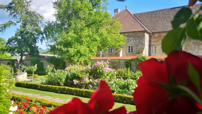 Rosengarten auf Schloss Hof, © SKB, B. Elleder