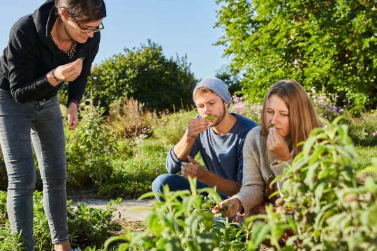 enjoy guided tours of businesses or, © Weinviertel Tourismus / Liebert