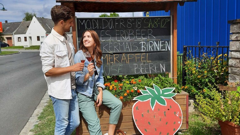 Produktverkostung, Bauernspeis, Wagram/Donau, &copy; Donau Nieder&ouml;sterreich, Neubauer