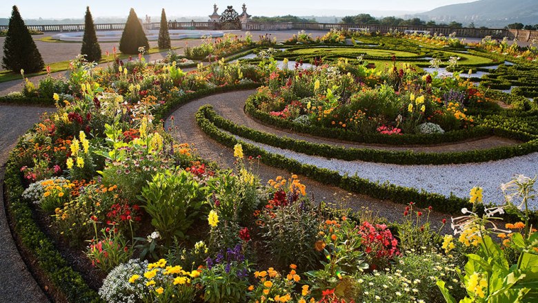 Schloss Hof Broderiebeet im Barockgarten, © SKB, Lois Lammerhuber