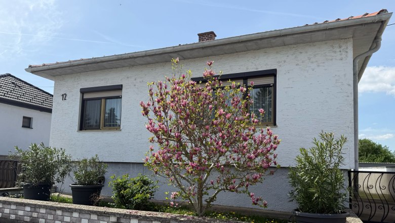 Außenansicht eines weißen Hauses mit blühendem Baum und Pflanzen in Töpfen.