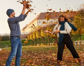 Autumn in Marchfeld, © Weinviertel Tourismus / Liebert