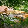 Ein leerer Biergarten mit Holzb&auml;nken und Tischen, umgeben von B&auml;umen und einem Geb&auml;ude mit rotem Dach im Hintergrund.