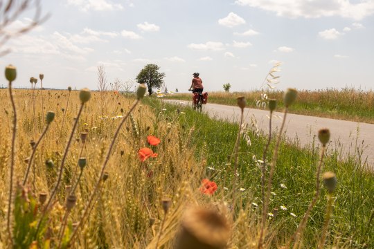 Mit dem Rad durch die weite Landschaft, © Niederösterreich Werbung / Franziska Consolati