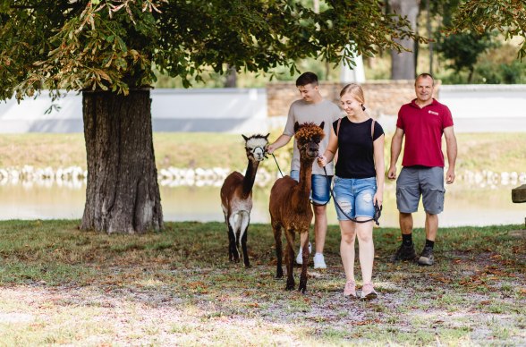 Excursions for schools, © Weinviertel Tourismus / Schwarz-König and Sinzinger