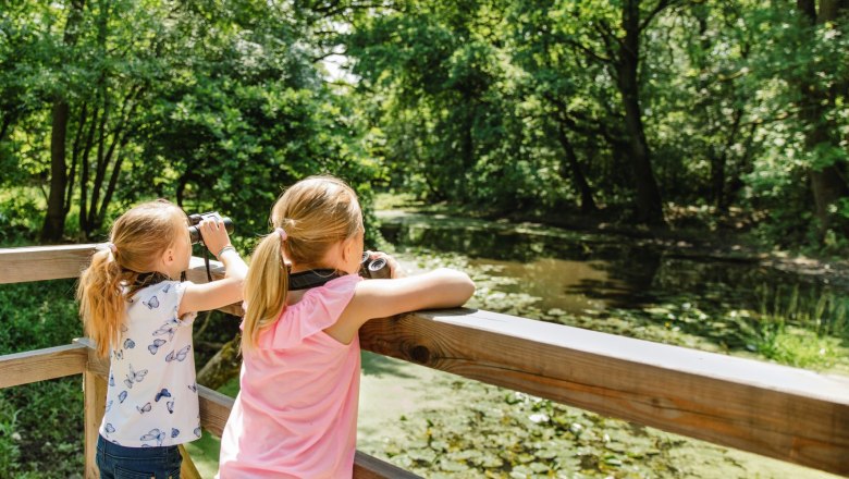 Floodplain nature trail, © Schwarz König Sinzinger
