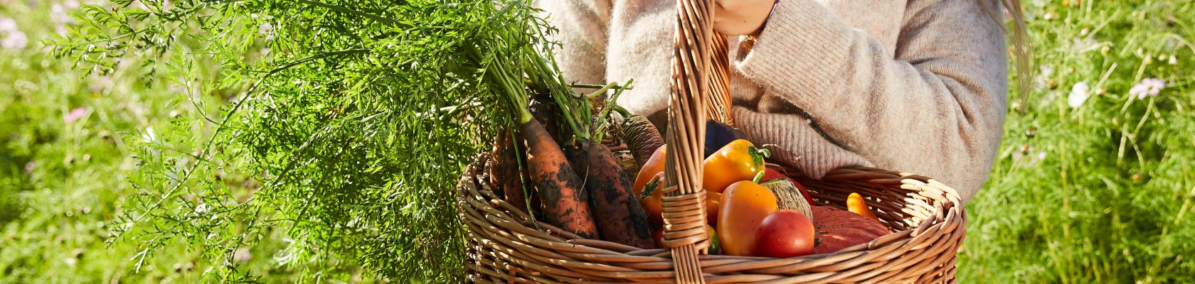 Marchfeld produce, © Weinviertel Tourismus / Liebert