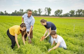 Zu Besuch am Michaelerhof, &copy; Schwarz-K&ouml;nig und Sinzinger