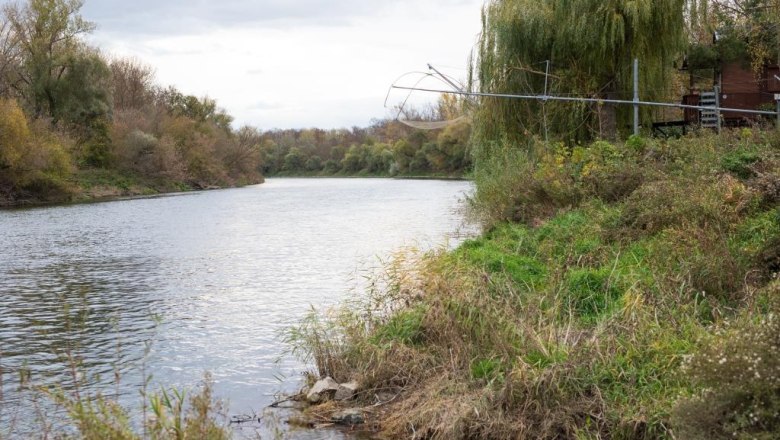 Flusslandschaft mit Bäumen und grünem Ufer.