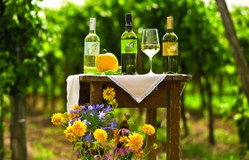 Drei Weinflaschen und ein Glas auf einem Tisch im Weinberg.