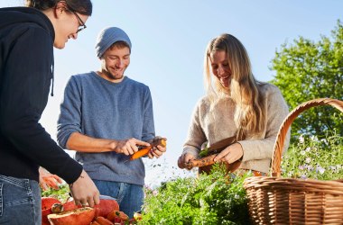 Erlebnis Produzent, © Weinviertel Tourismus / Liebert