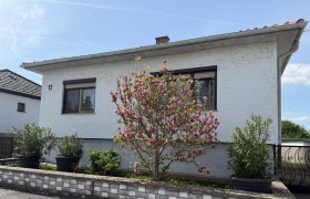 Au&szlig;enansicht eines wei&szlig;en Hauses mit bl&uuml;hendem Baum und Pflanzen in T&ouml;pfen.