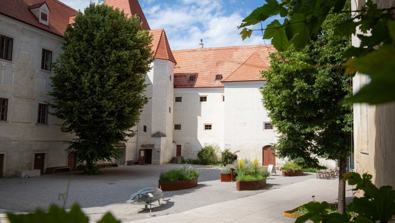 Hof vom Schloss Orth