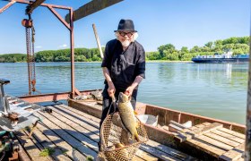 Ein Mann mit Hut hält einen großen Fisch in einem Netz auf einem Holzsteg am Fluss (Donau).